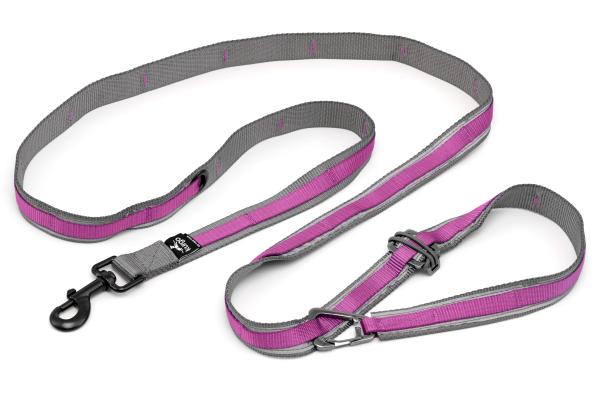 Kurgo Reflect & Protect Quantum Leash Violet